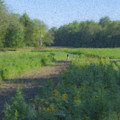 Morning Walk at Langwater Farm